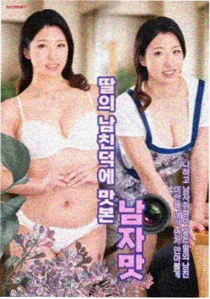灰港记事新番海报